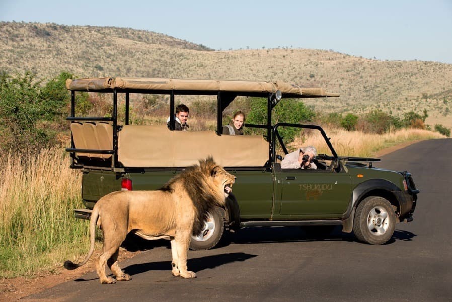 Pilanesberg Game Park Day Tour