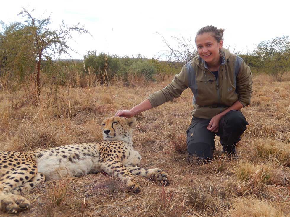 Lion and Cheetah Sanctuary