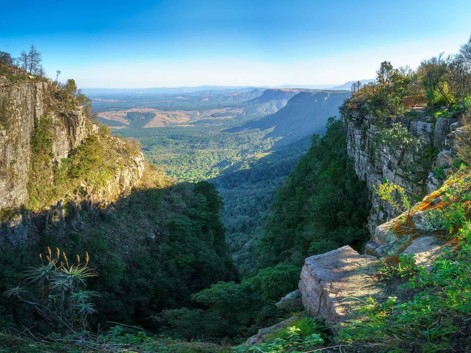 Kruger National Park & Panorama Route Experience - Image 5