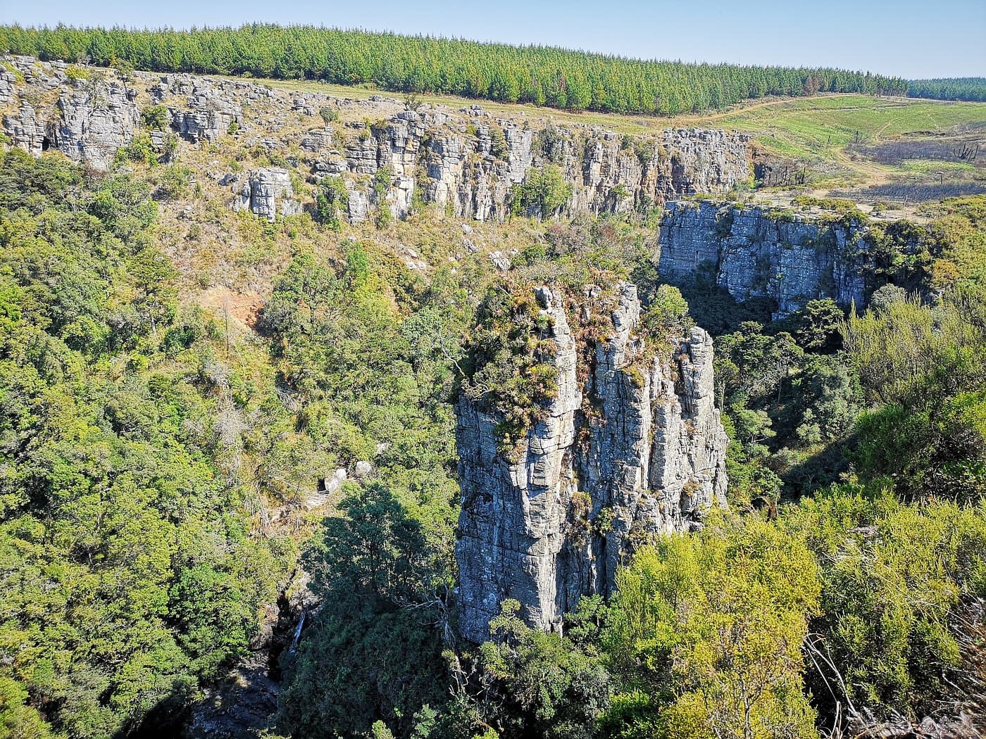 Kruger National Park & Panorama Route Experience - Image 6