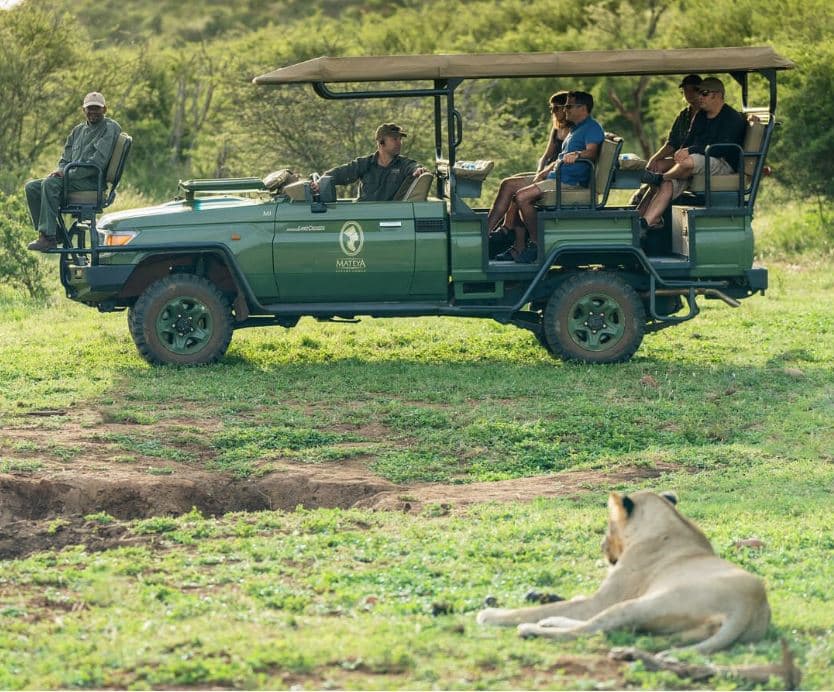 Madikwe Game Park Wildlife Experience - Image 9