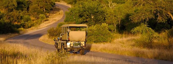 Pilanesberg Game Park Wildlife Experience - Image 5