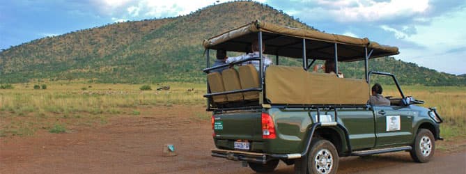 Pilanesberg Game Park Wildlife Experience - Image 6